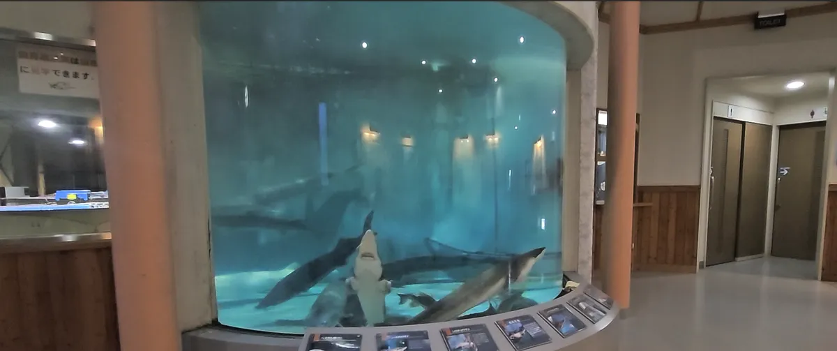 Bifuka Sturgeon Museum 사진