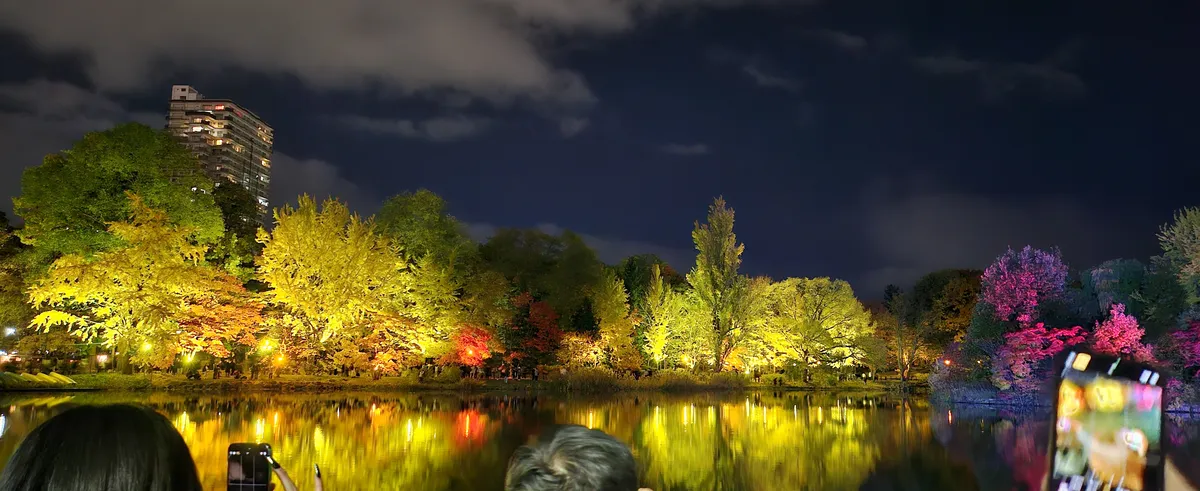 Iris Pond 사진