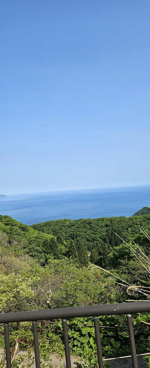 하코다테 산 전망대 사진
