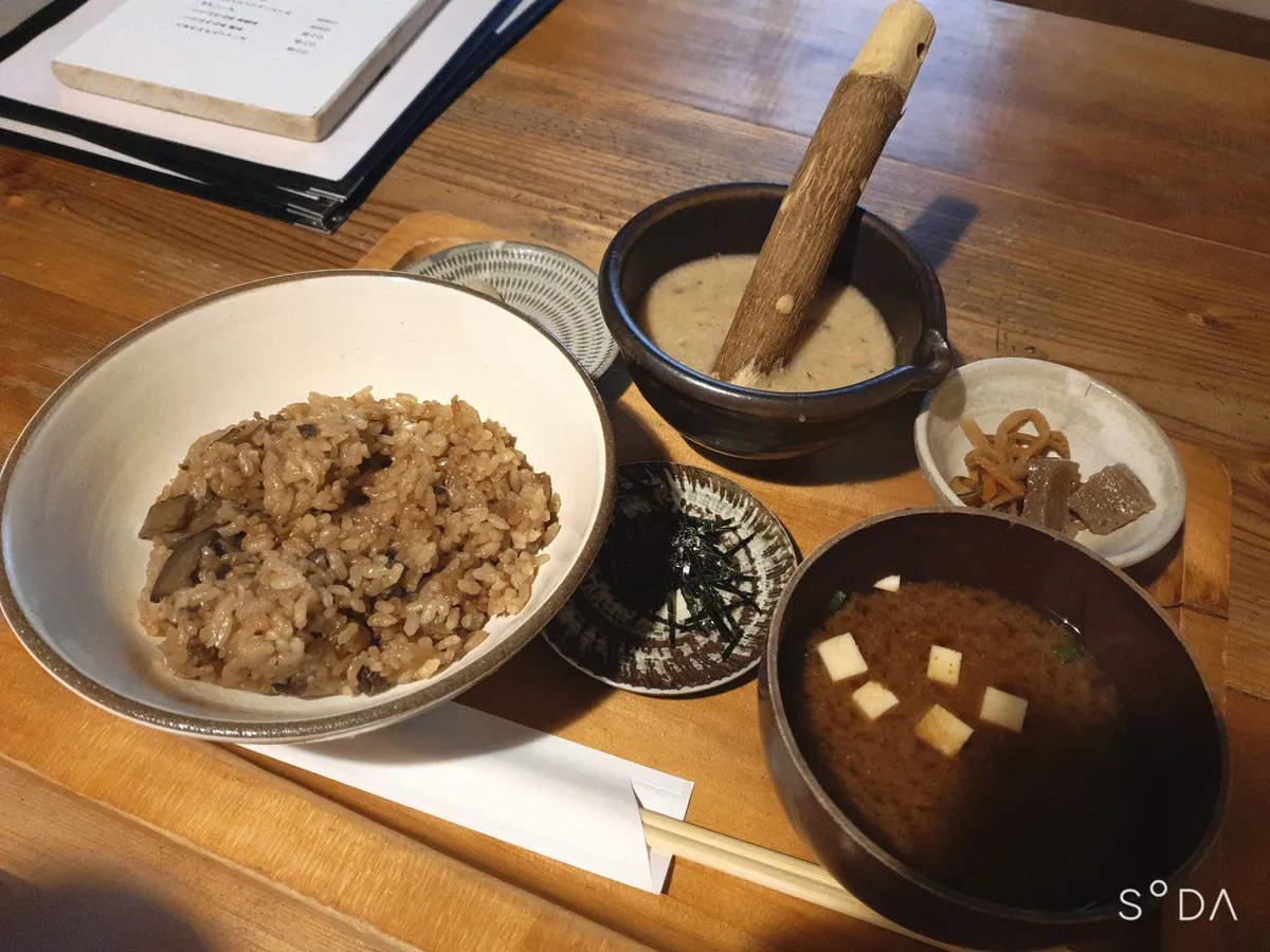하코자키 토로로 사진